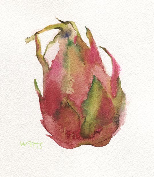 dragon fruit copy